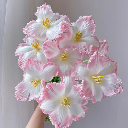 bulbos de tulipán, perenne resistente, tulipán frescas, decorativas exóticas resistentes, balcón acónito invierno, para 15pcs