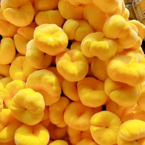 Pfirsichbaum samen pfirsich obstbaum schattenpflanzen winterhart, Seltene Pflanzen Serie obst samen Premium kübelpflanzen stauden winterhart mehrjährig, alte sorten säulenobstbäume 6pcs