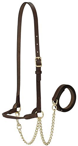 Weaver Leather Livestock Dairy Halter, Small, Brown