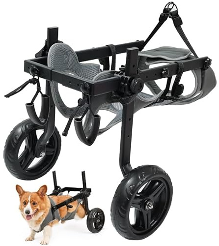 Fauteuil roulant léger pour chiens, chariot pour animaux de compagnie réglable pour pattes arrière, chariot d'aide à la mobilité du chien avec roues pour chiots blessés de 9 à 14 kg (M/L)