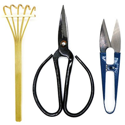 Kebinfen® Bonsai Tijeras Kit - Bonsai árbol poda tijeras, Hoja y brote tijeras, Rastrillo de bambú