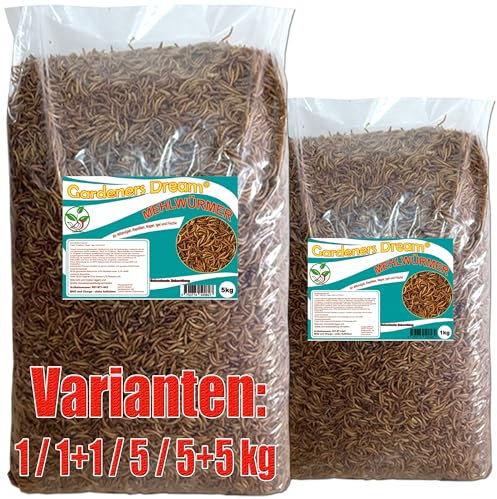 Gardeners Dream getrocknete Mehlwürmer in 1 bis 5kg Abpackung, Protein- und fettreich, verfeinert und gesiebt, für Fische, Nager, Vögel, Reptilien, auch Koifutter oder Igelfutter