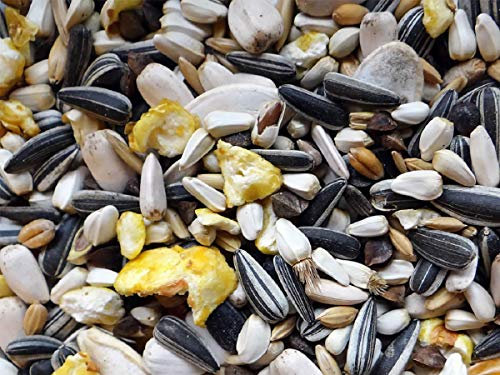 Papageienfutter Spezial ohne Nüsse 3 kg Futter für Papageien ohne Nüsse