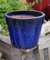 B-Ware !! Winterfester Blumentopf Durchmesser ca. 28 cm aus Steinzeug-blau glasiert ! Pflanzgefäß Blumenkübel Garten Balkon Terrasse