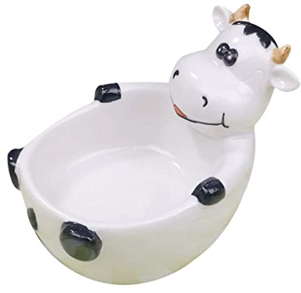 GANAZONO 1 pièce Pot de Fleurs Décoratif Céramique pour Plantes Bol Alimentaire Créatif pour Bureau Maison et