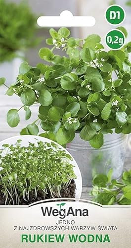 WegAna graines de cresson de fontaine 0,2g, graines de légumes robustes, graines de légumes, graines de culture, graines pour la serre