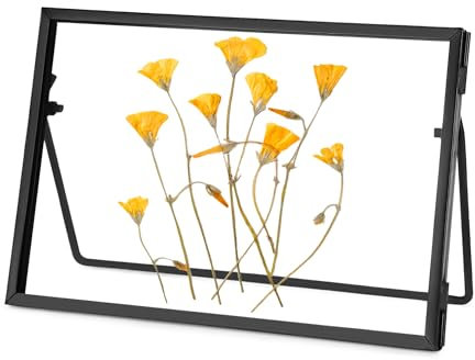 REDHUGO Glass Pressed Flower Frame Handmade, Glass Picture Frame Tabletop Floating Picture Frames Brass Photo Desk Frame for DIY Dried Flowers Home Plant Specimen, Rectangle Horizontal (FRAME ONLY)