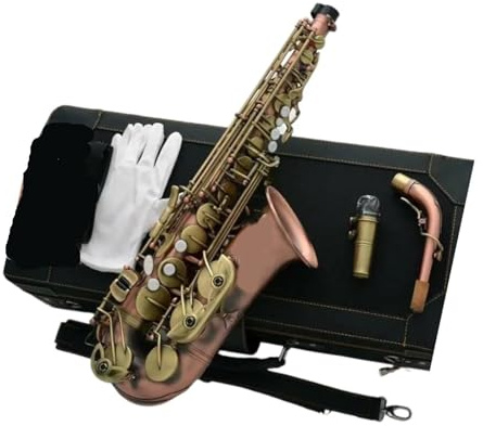 Professionell Saxofon Altsaxofon Professionellt Träblåsinstrument Med Fodral