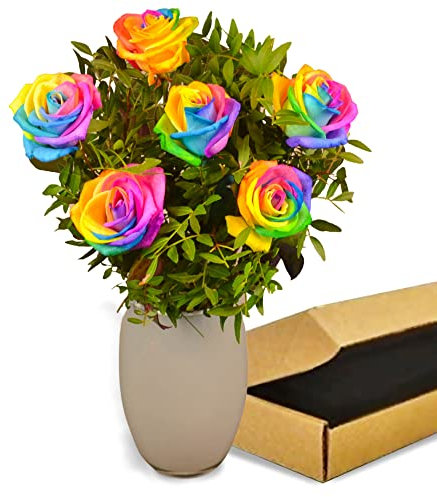 Rainbow Roses Fresh Rose Bouquet - Vibrant Fresh Flowers Delivered Next Day - Ideal for Birthdays, Anniversaries, Get Well, and Thank You Gifts