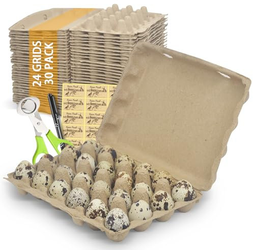 HavRixor Quail Egg Cartons 30 Pack- Holds Up to Two Dozen 24 Counts Eggs Bulk Blank Container Empty Cardboard Thickness Natural Pulp Egg Boxes, with Stickers