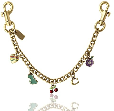QHSOZ Bag Chain Charm for Handbag, Purse Wallet &Pants Chain Jean Chains, Vintage Bag Strap Chains Extender