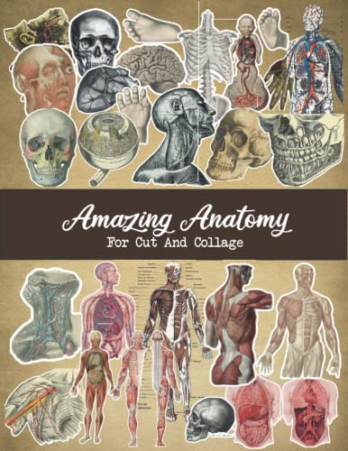 Amazing Anatomy For Cut And Collage: +100 Illustrations To Use For Mixed Media Projects, Scrapbooking and Junk Journaling