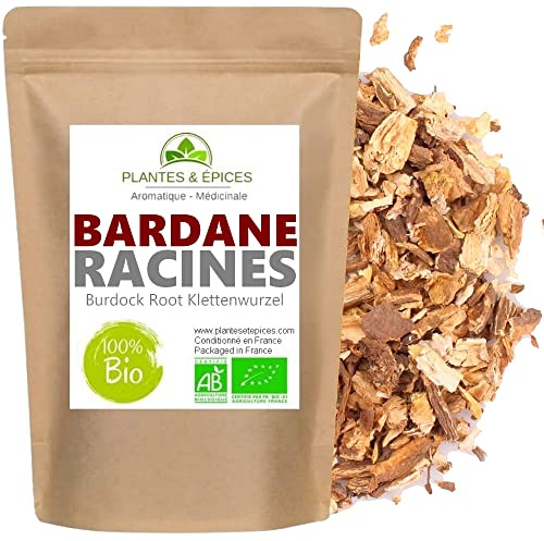 Racine de Bardane Naturelle 100g Tisane Infusion thé (effet tonique et purifiant) - Plantes et Epices