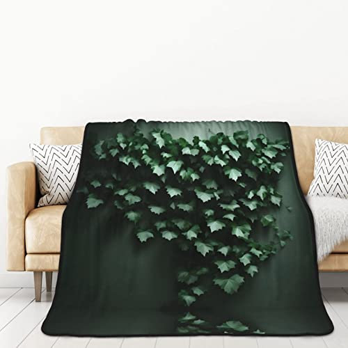 TORONG Doppelseitige Flanelldecke für Erwachsene, für Auto, Bett, Nickerchen, warm, bequem, Grün