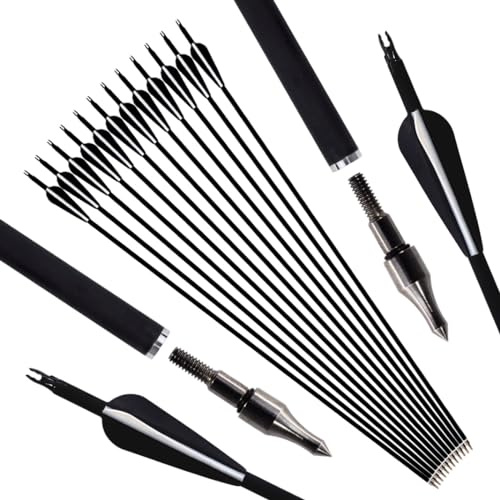 Luoyer 12Pcs Archery Hunting Arrows for Compound Bow Recurve Bow with Removable Tips Adjustable Nocks for Adults Hunting Targeting 30inch (Black Vanes)