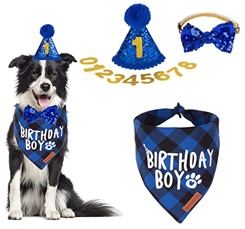 ADOGGYGO Dog Birthday Party Supplies, Multi Size Offered, Blue Birthday Boy Dog Bandana, Pet Party Hat with Numbers Bow for Medium Large Pets (Large)