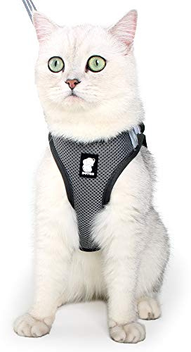 Set di Pettorina e guinzaglio per Gatti, a Prova di Fuga, Riflettente, Regolabile, in Morbida Rete, Imbottita, per Cuccioli, Gattini, Passeggiate all'aperto nuovo Grigio
