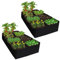 8 Compartments Planting Bags,Plant Grow Bags Fabric Raised Beds for Garden,Extra Large Fabric Raised Bed Garden Plant Flower Grow Bag,3ft X 6ft Grow Bags for Soil & Root Vegetables Potato Tomato