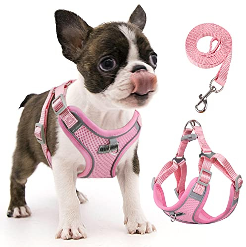 rennaio Dog Harness No Pull, Adjustable Puppy Harness with 2 Lead Clips, Ultra Breathable Padded Dog Vest Harness, Reflective Dog Harness and Lead Set for Small and Medium Dogs (Pink, S)