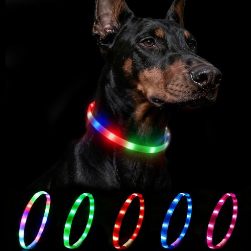 Nepfaivy Collier lumineux pour chien rechargeable par USB - Étanche - Avec longueur réglable - Collier LED pour chien avec 4 modes d'éclairage pour la sécurité - Multicolore