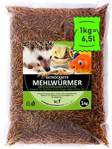 UGF - Premium Mehlwürmer getrocknet 1 Kg, Insekten Snacks für Vögel, Hamster, Igel, Nager, Eidechsen, Schildkröten – ohne Konservierungsmittel und Farbstof