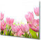 Tulup Schneidebretter Herdabdeckplatte Spritzschutz 60x52 cm Gehärtetes Glas Küche Glasabdeckplatte - Rosa Tulpen