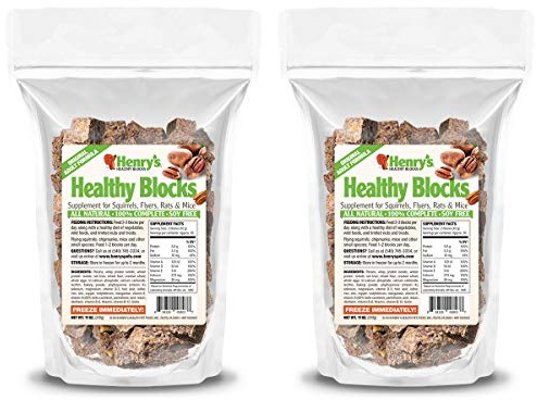 Henry's Healthy Blocks - Nutritionally Complete Rodent Blocks – Food for Squirrels, Flying Squirrels, and Chipmunks, 11 Ounces (2-Pack)