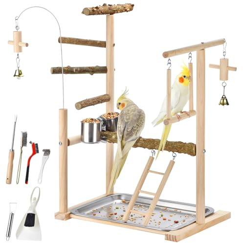 Natural Wood Parrot Playground Perch Stand with Feeder Cups, Tray, Ladder, Swing & Bells, Play Gym for Top of Cage, Cage Accessories for Lovebirds, Cockatiels, Parakeets