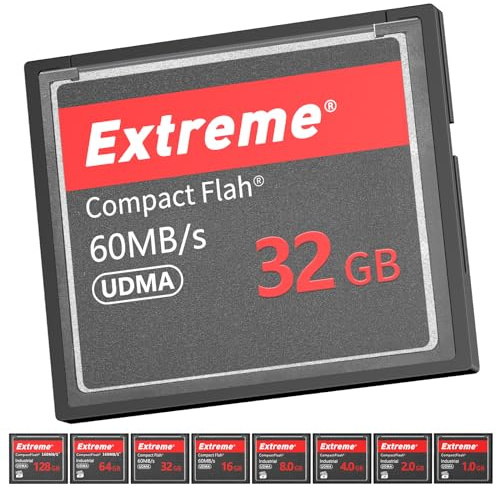 Scheda della fotocamera ottica br&td della scheda di memoria flash compatta (32GB)