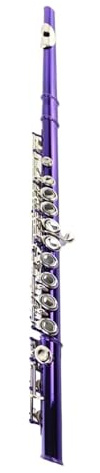 Professional Flute Wind Instruments Colored Flute 16 Closed Hole C Key Purple Lacquer Nickel