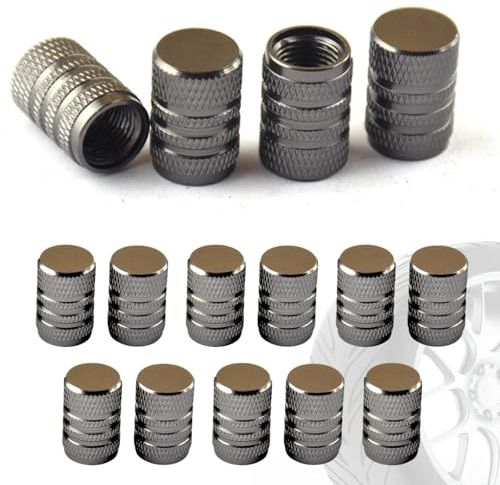 15 Tapones de Rueda de Coche - Aluminio - Válvula para Neumáticos, Tapones de Alta Resistencia, Tapon de Rueda de Coche. (Gris)