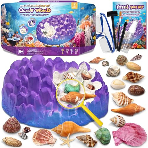 Ocean Fossil - Kit de excavación de más de 20 conchas y caracoles reales, divertido juego educativo de ciencia, juguete STEM para niños, kit de excavación de geología, colección de fósiles, regalo