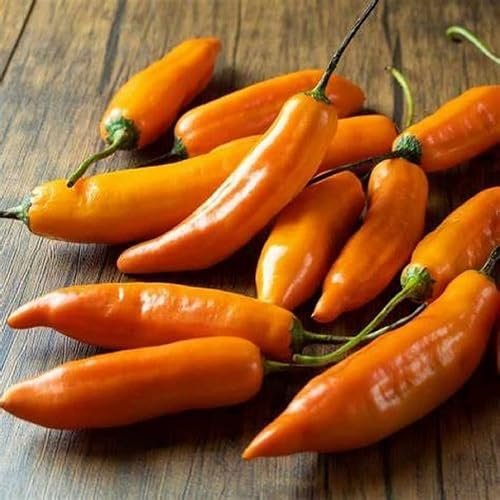 80 graines de légumes frais au poivre