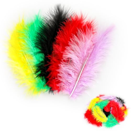50pcs Feathers Craft Feathers for Crafting Feather Coloured Feathers Craft Supplies for DIY Crafts Wedding Holiday Party Decorations Dream Catchers Gift Box Filling