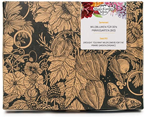 Fiori selvatici resistenti alla siccità per il giardino della prateria (bio) - Set regalo di semi con 5 piante da fiore tipiche del Nord America