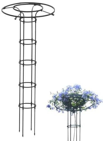 Griglia Verticale Da Giardino In Metallo, Obelisco Da Giardino In Metallo Pianta Rampicante, Supporto Alto Per Piante, Fiori Struttura In Ferro, Verticale Per Piante Rampicanti Telaio Di Supporto