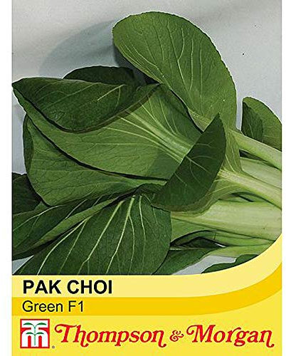 Pak Choi 'Green' F1 Hybrid – Fast-Growing Vegetable Seeds for Baby Leaf and Mature Heads – Ideal for Successional Sowing – Hardy Annual by Thompson and Morgan