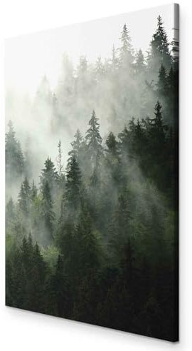 murando - Tableau acoustique panneau insonorisant 80x120 cm - Impression sur toile avec cadre – Art décoratif moderne maison salon chambre - Forêt dans le brouillard c-B-0394-b-a