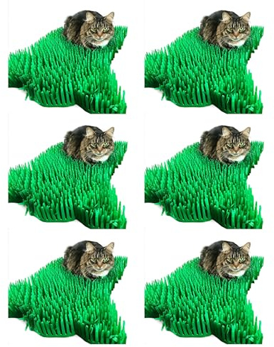 CATMAT. Tissue Grass Mats for Cats and Kittens. 6 Piece, Paper, Green