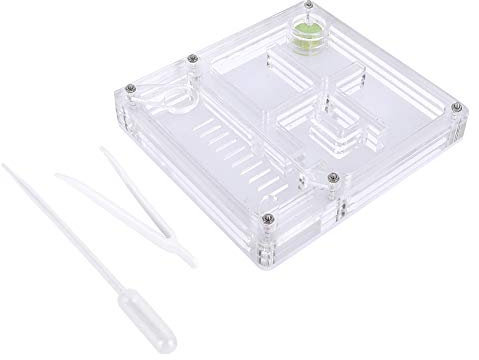 Ameisenfarm Acryl Ameisenzuchtbox Transparente Insektenvitrine Ameisenzuchtbox Ameisenfutterbox Farm Villa Nest Geburtstagsgeschenk