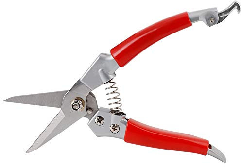 Zhangpu Ciseaux de Jardinage pour L'élagage des Plantes, Sécateurs Droits, Sécateurs Manuels, Cisailles à Gazon (Processus de peinture)