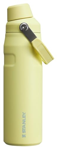Stanley IceFlow Fast Flow Water Bottle 24 oz | Angled Spout Lid | Lightweight and Leakproof for Travel and Sports | Insulated Stainless Steel | BPA-Free | Pomelo
