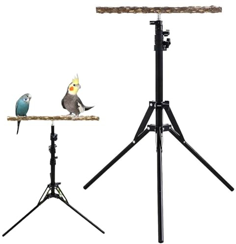 Stand de perche à oiseaux réglable - Flamme d'escalade portable, extension de piédestal en bois | Fonction jouet d'aviaire intérieur extérieur pour perroquets Budgies African
