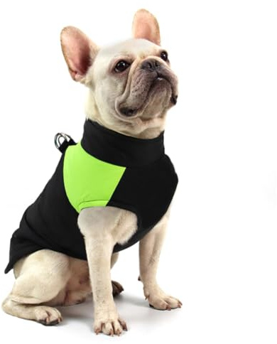 FEimaX Abrigo para Perro Impermeable Chaqueta Cálido de Invierno y Otoño, Ropa de Algodón para Perros Pequeños Medianos y Grandes Mascotas Chaleco de Cachorro y Gato para Clima Frio
