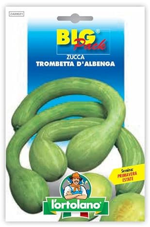 ZUCCA TROMBETTA D'ALBENGA BIG PACK L'ORTOLANO
