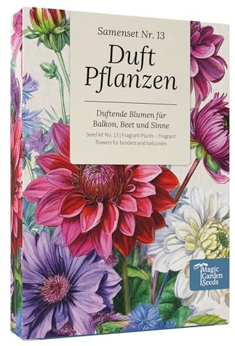 Magic Garden Seeds - Duftpflanzen Saatgut Box - Blütenzauber für Balkon, Beet & Sinne - Samenfestes Saatgut, betörende Blumen als Geschenkidee für Gartenfreund:innen