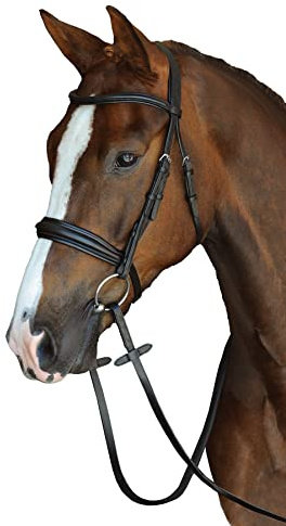 Collegiate Mono Crown Padded Raised Cavesson Bridle, Black, Full