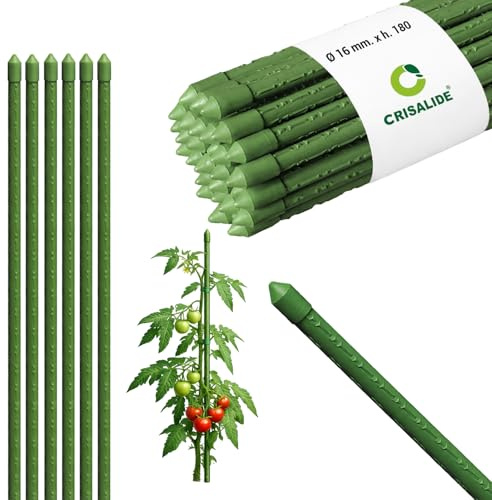 Crisalide® Tutori per Piante 180 cm Ø16 mm in Acciaio Plastificato Antiruggine, Bastoni per Pomodori Orto e Giardino, Supporto Piante Resistenti, Disponibili 5 10 25 Pezzi (10)