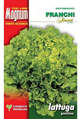 SEMI LATTUGA GENTILINA BUSTA MAGNUM FRANCHI SEMENTI