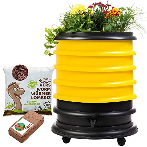 WORMbox | Lombricomposteur 4 Plateaux Jaune + Jardinière + 1kg de vers de Compost + 1 Bloc Coco | 64 litres | Compostez Vos déchets organiques, lombrics/lombricompost